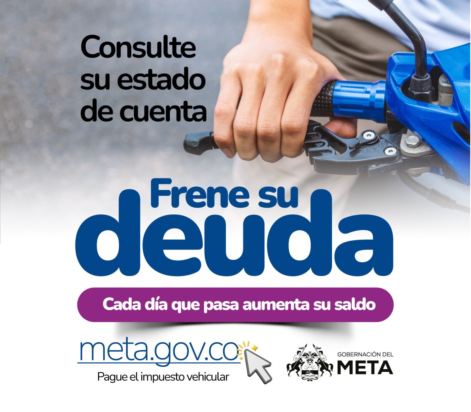 Gobernación del Meta
