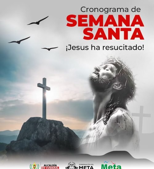 Imagen de WhatsApp 2025-04-13 a las 21.48.34_0a8d2ef9